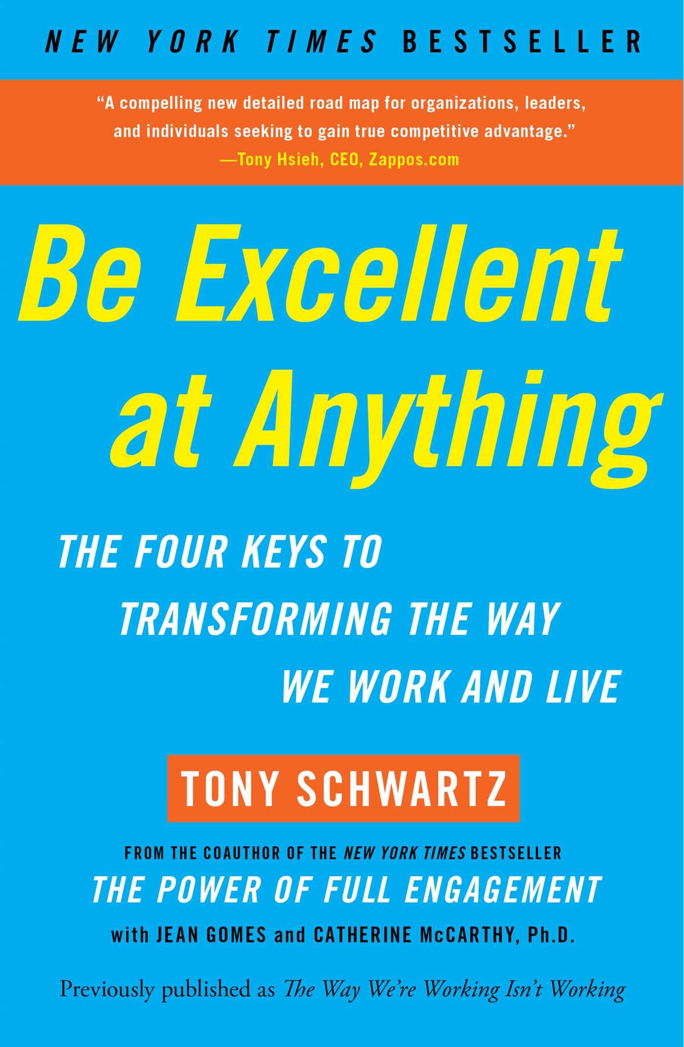 Be Excellent at Anything Summary