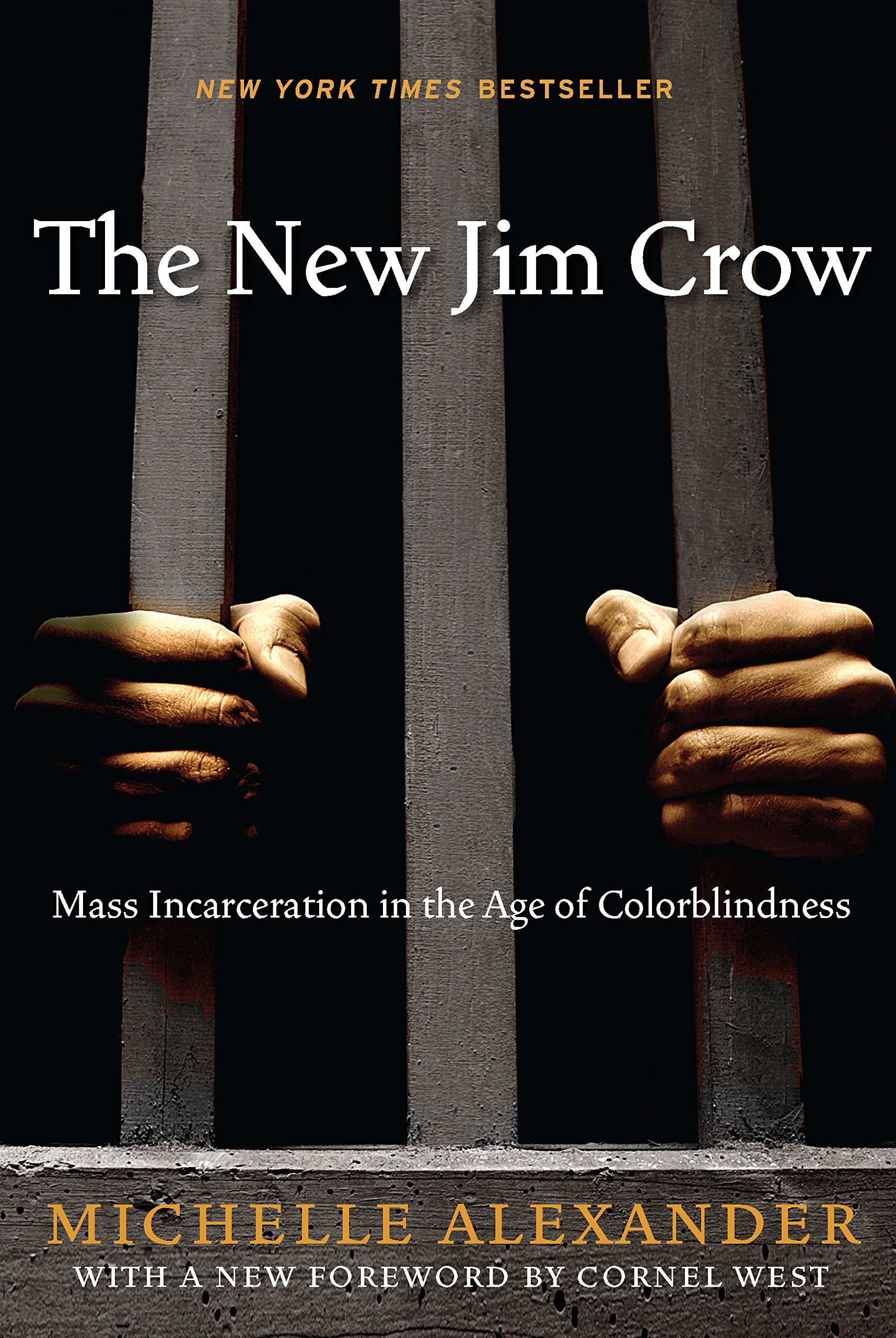 The New Jim Crow PDF Summary