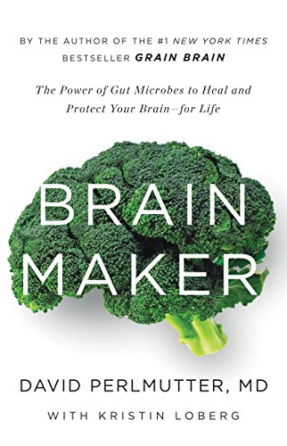 Brain Maker Summary