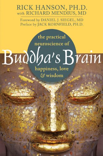 Buddha's Brain Summary