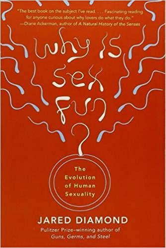 Why is Sex Fun Summary