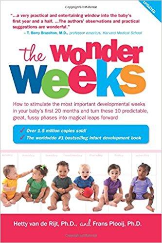 The Wonder Weeks Summary