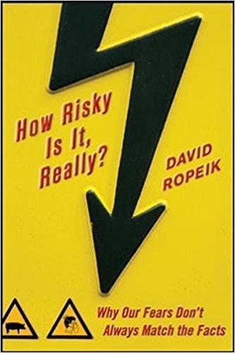 How Risky Is It Really? Summary