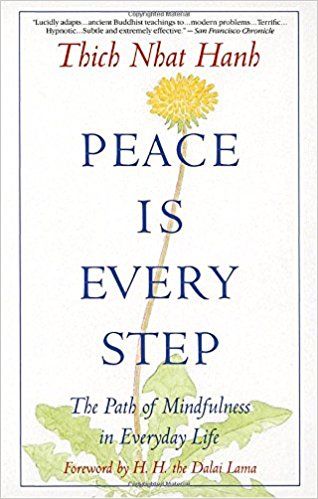 Peace Is Every Step Summary