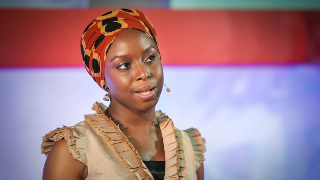 The Danger Of A Single Story Ted Talk PDF Summary Chimamanda N A 