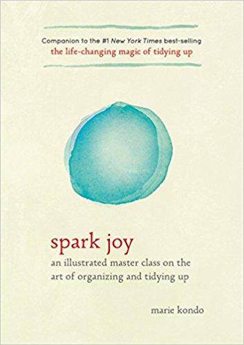 Spark Joy PDF