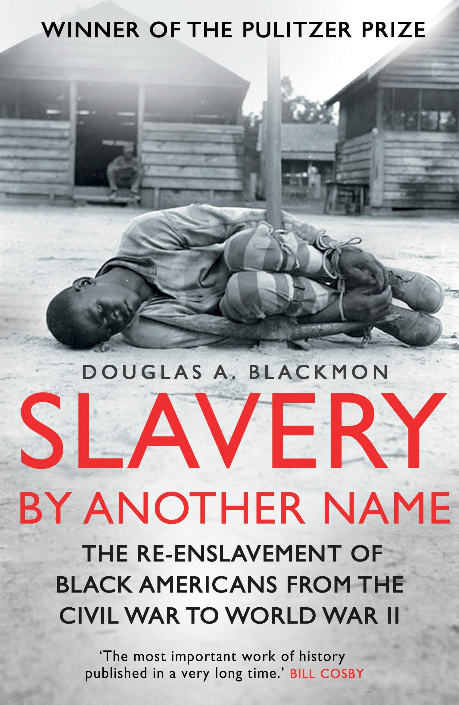 Slavery by Another Name PDF