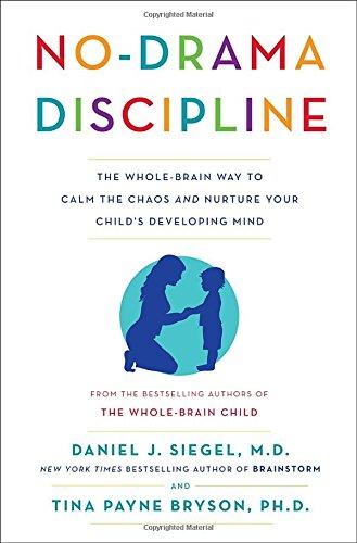 No-Drama Discipline PDF Summary