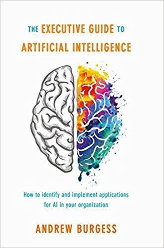 The Executive Guide to Artificial Intelligence PDF Summary